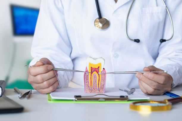 Best Mobile Emergency Dentist in Fruitland, NC